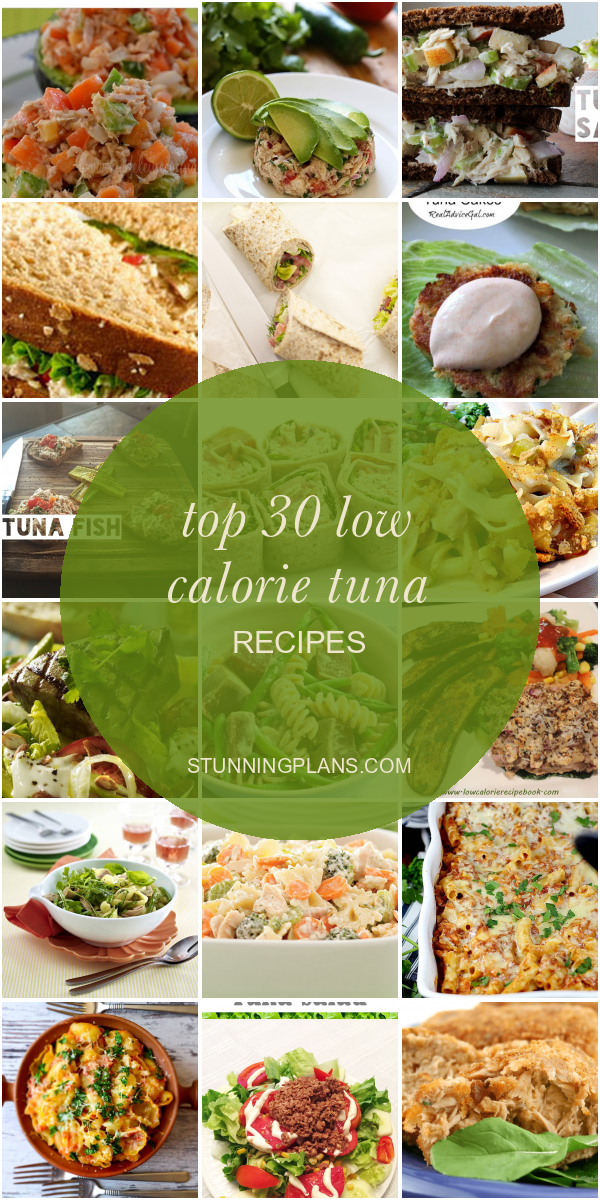 Top 30 Low Calorie Tuna Recipes - Home, Family, Style and Art Ideas